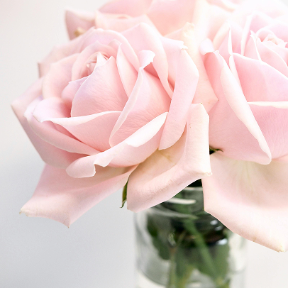 Beauty Saturday Rabattpakete, Friseurrabatt, Manikürerabatt, Pedikürerabatt, Kosmetikrabatt und Blumenrabatt im Bild