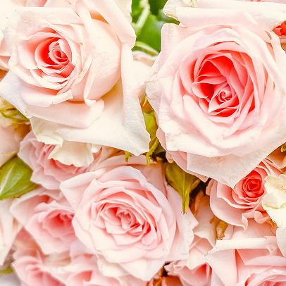 Beauty Saturday Rabattpakete, Friseurrabatt, Manikürerabatt, Pedikürerabatt, Kosmetikrabatt und Blumenrabatt im Bild